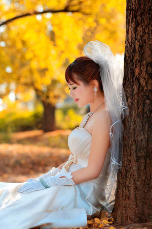 半岛(中国)体育